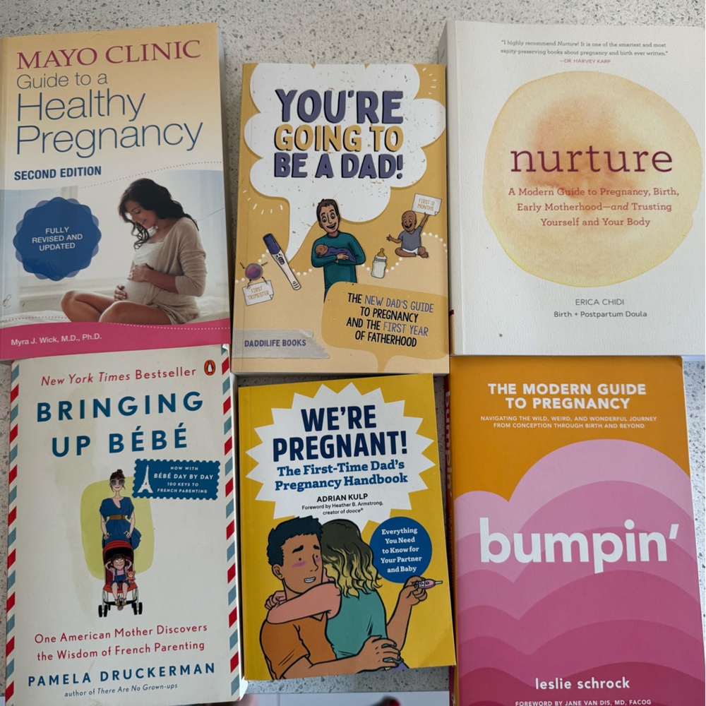 Pregnancy and Parenting Book Collection